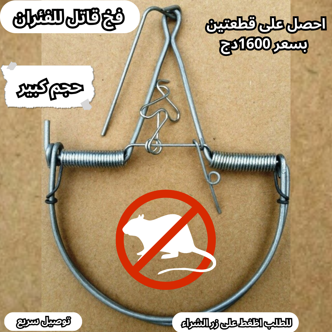 فخ القضاء على الفئران الحجم الكبير